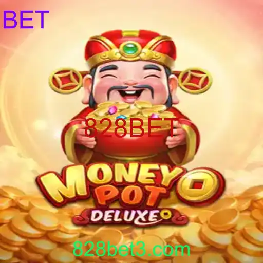 MoneyPotDELUXE